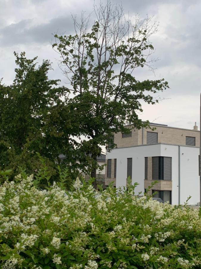 Mosaikhaus Smart Home Würselen Εξωτερικό φωτογραφία